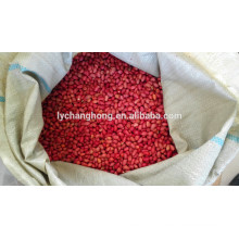 Quatro, vermelho, pele, amendoim, china, 2014, novo, colheita
